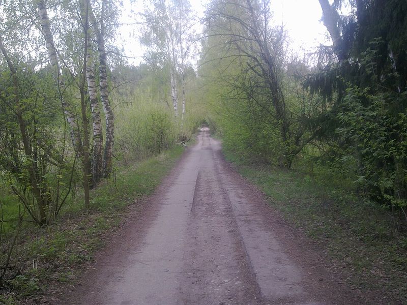 Москва и Подмосковье